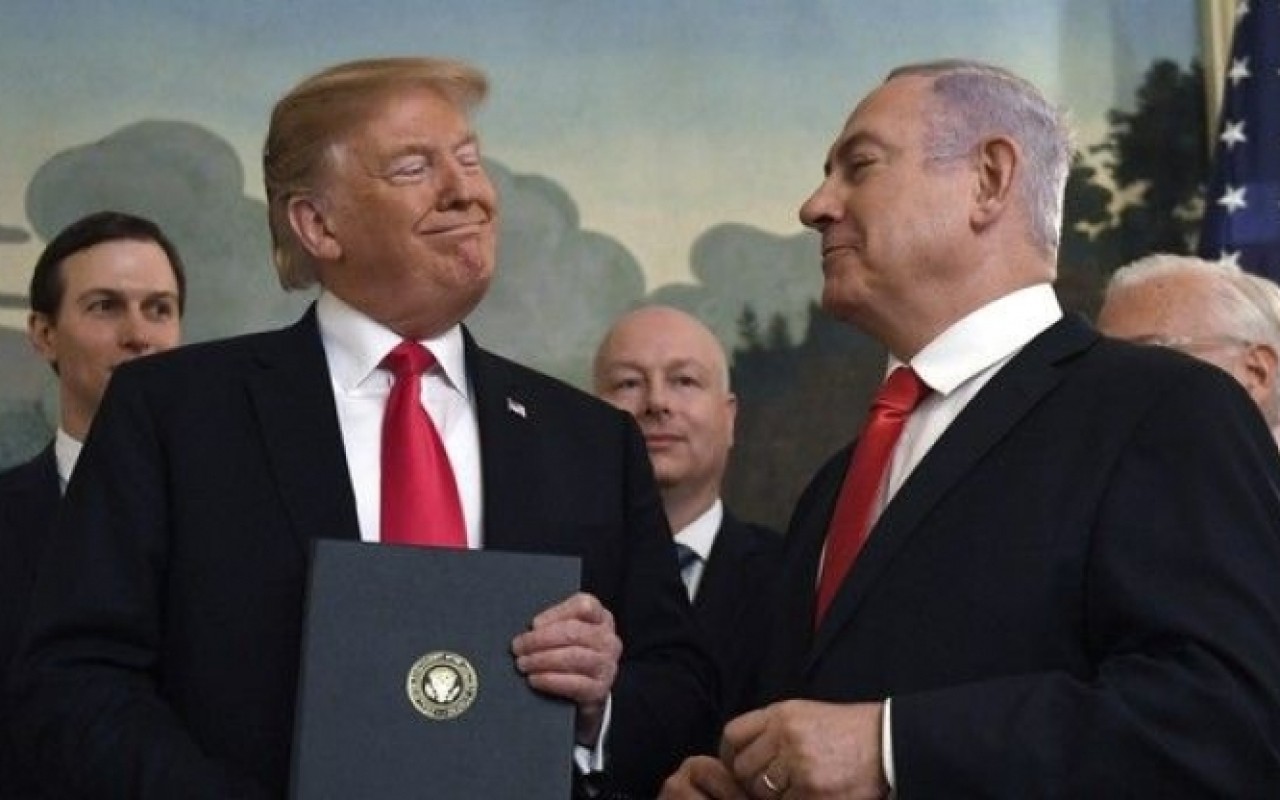 1766299602.1766296280_image_780x_615346048b104