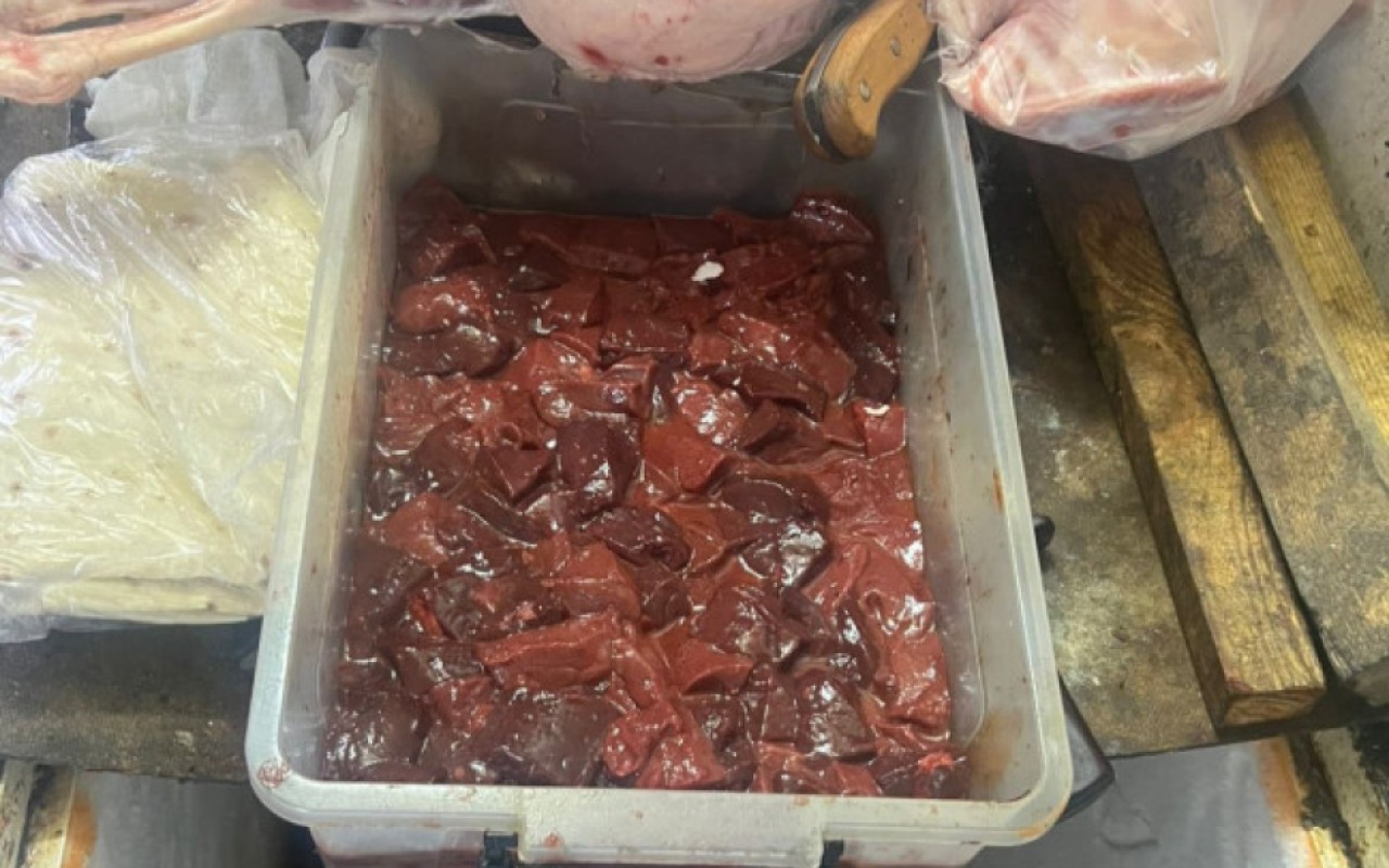 1766669633.17666691862470137009_1200x630