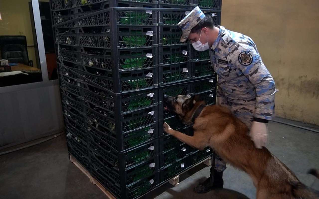 1766724505.694e0726d509d694e0726d509e1766721318694e0726d509b694e0726d509c