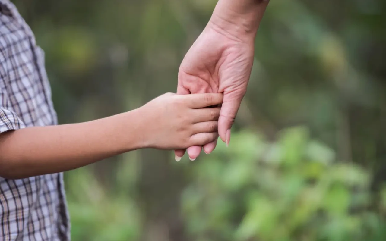 1766734390.f85c290fbdb61ed