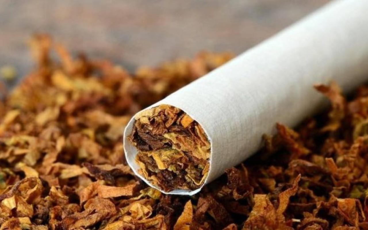 1767002363.1765274820_5314671615763221891