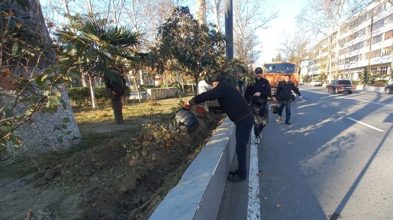 598154771_732469659419564_2512870630016563690_n