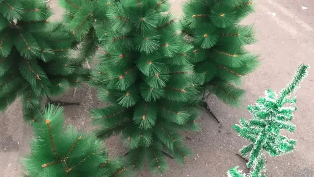 gshdfdhjjpg-1765087562