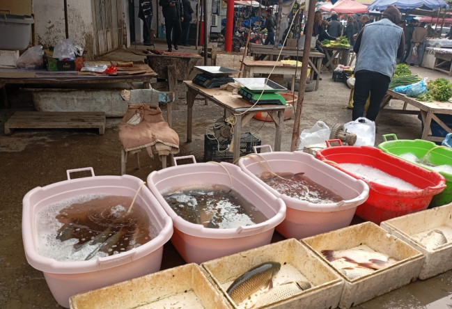 whatsapp-image-2025-12-02-at-125947-1