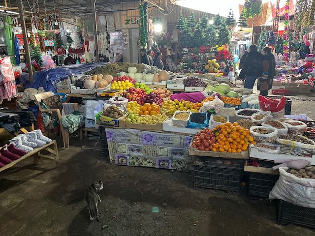 whatsapp-image-2025-12-16-at-141040-1