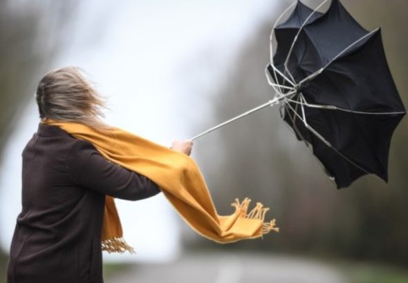 1751790468.1751782478_1733920626_1730797849_1713769467_1713762872.1704440244_1704439034_1701248380_kulek2