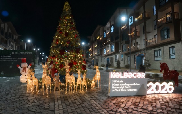 1767208408_17672036644783132995_1200x630