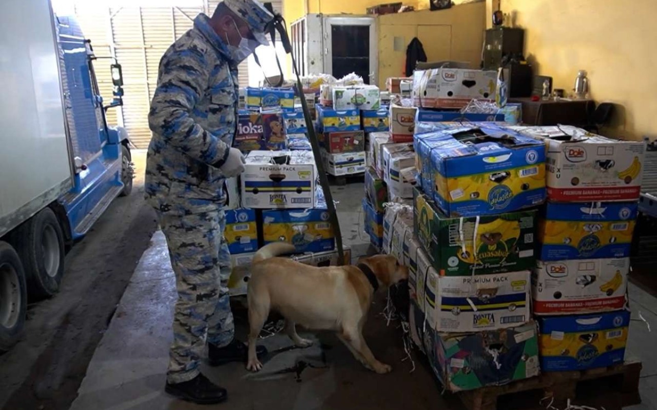 1767255607.69562c834d3ac69562c834d3ad176725517169562c834d3aa69562c834d3ab