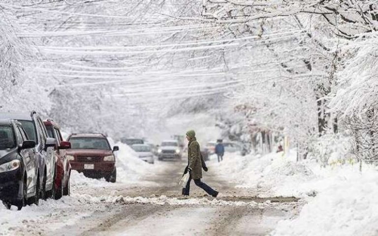 1767277342.2024-01-12-15-26-02SlaTCP0l4yDuzJxaTuAW_file