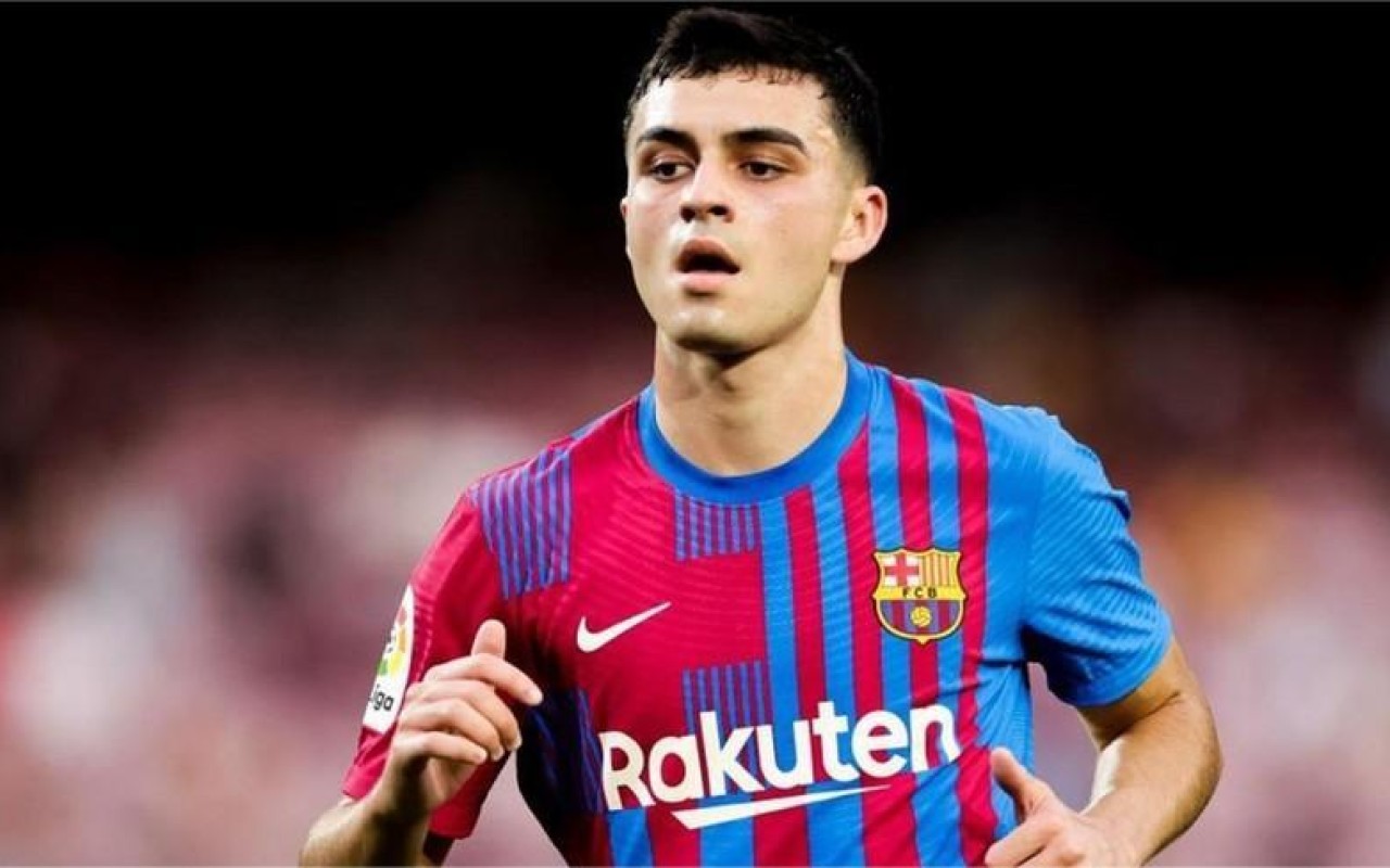 1767284423.1767256009_1741768487_pedri