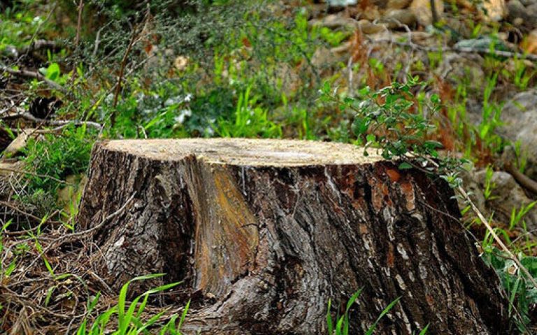 1767601225.nocomment_48a220bb2bf90a44313f1a397c5846b5_tnmsz4r3iv5gpfyolku1-637x336