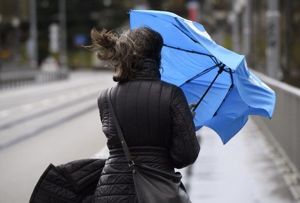 1768227438_MyCollages_-_2021-11-30T151855.960