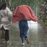 1768287186.WhatsApp-Image-2025-06-30-at-00.50.32