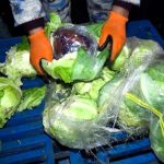 1768290343.6965f75b93e056965f75b93e0617682901396965f75b93e036965f75b93e04