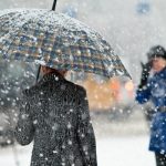 1768475604.1768280915_1768280860_1767877075_1734005805_659bd3bfef9e5659bd3bfef9e61704711103659bd3bfef9e3659bd3bfef9e4