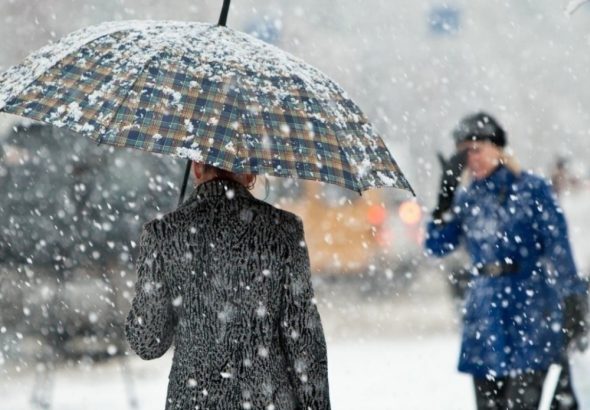 1768475604.1768280915_1768280860_1767877075_1734005805_659bd3bfef9e5659bd3bfef9e61704711103659bd3bfef9e3659bd3bfef9e4