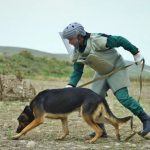 1768476097.331a2e1b-5f8e-3584-954e-00a7c3aa10ca_850jpg_1730274010