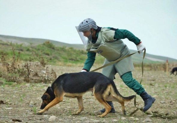 1768476097.331a2e1b-5f8e-3584-954e-00a7c3aa10ca_850jpg_1730274010