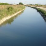 1768644896.su_kanali