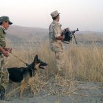 1768731238.1768731092_1693974254_16939707134033121905_1200x630