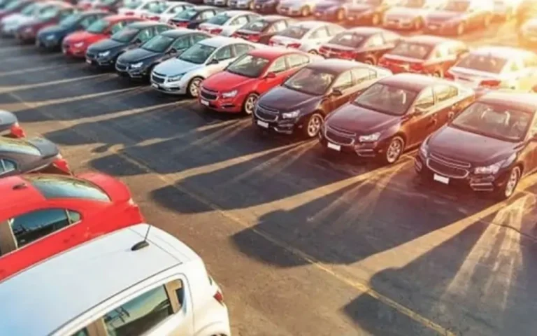 1768807207.image_870x_67e5de22864a9