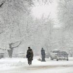 1768900156_1675675103_3