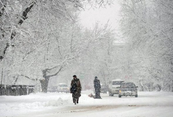 1768900156_1675675103_3