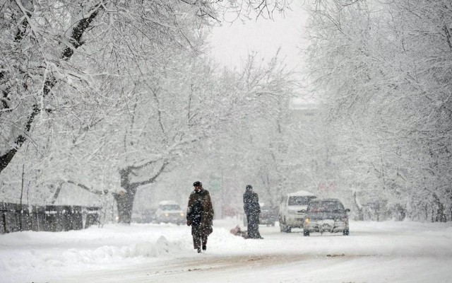 1768900156_1675675103_3