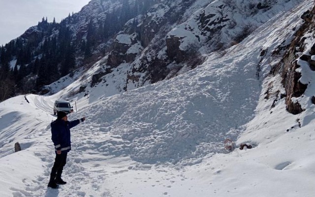 1769356069_17693524761377056129_1200x630