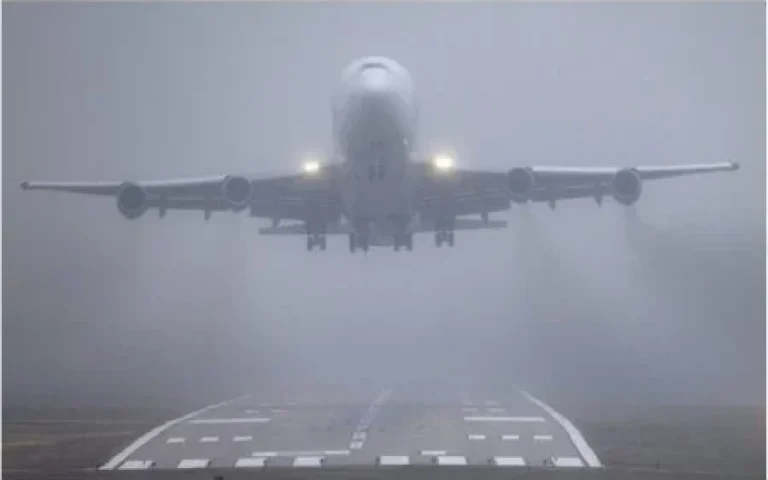 1769418323.1736837221_img_0495