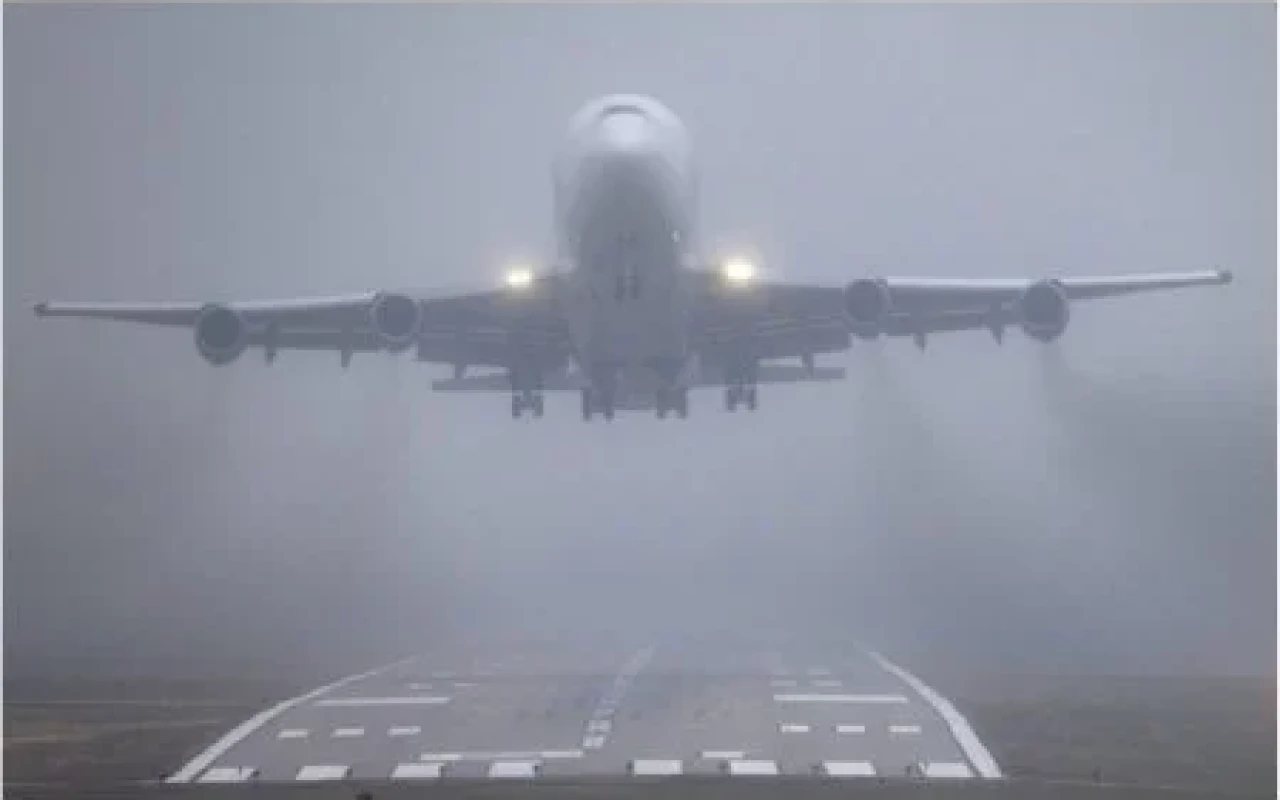 1769418323.1736837221_img_0495