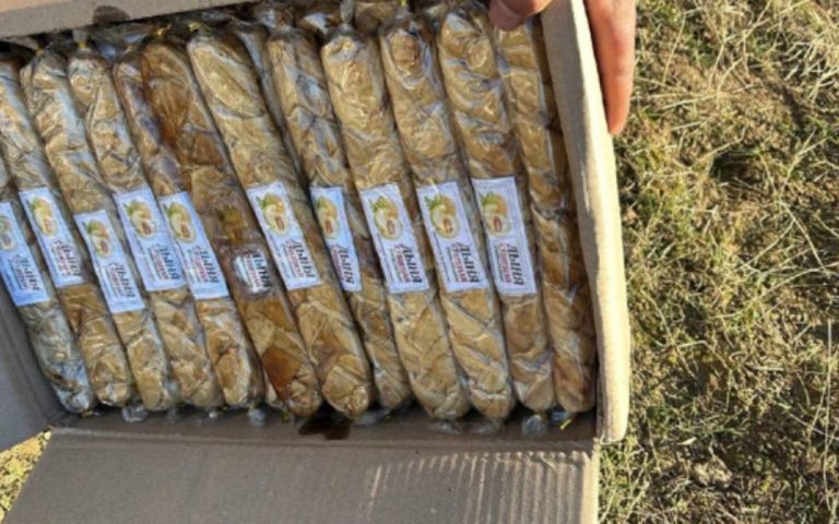 1769504147.SnzdpjEOdqnyepVC8w3U8iBErTfsunowzmV3GNCX_825