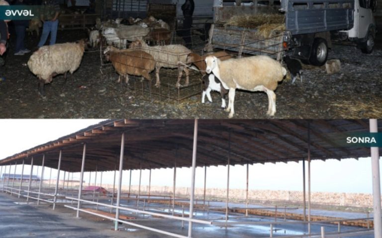 1769682228.GKsQ2namZb2lJ8R5TBVC6vD8weDt24abBQUGwPhs_825