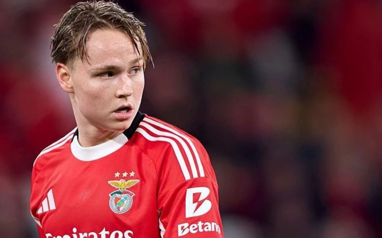 1769703376.8jczEnlFi9KX0PW5299vLaB7eRBeQNJ6cUnS2lQ4_640