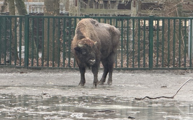 1769709925_17697098065613843181_1200x630