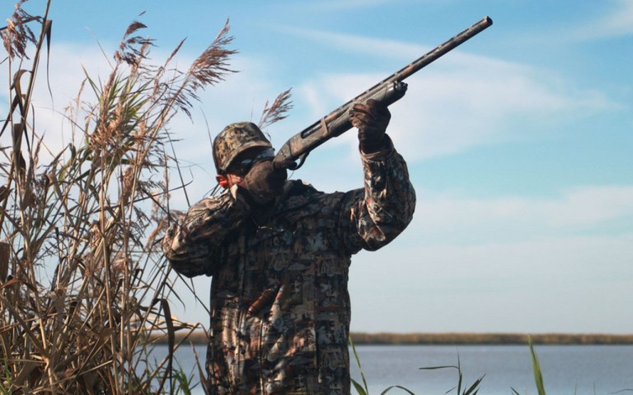 1769759629.b9r658dBR4d3iCj5X2qx2v0Tc44UFZMTDFmPozA8