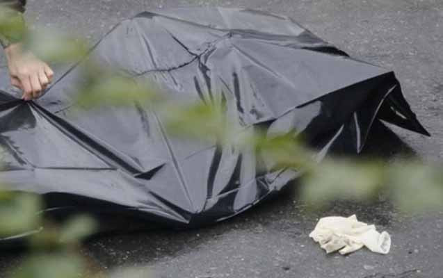 meyit_1_1768904042_1769109678