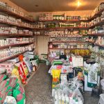 whatsapp-image-2026-01-09-at-171005