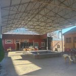 whatsapp-image-2026-01-12-at-115232-1