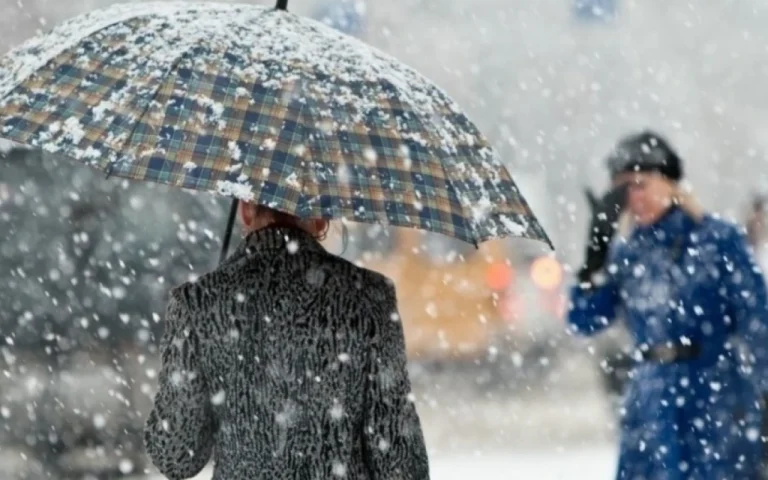 1770044030.pua3kQcAIZJrC1pQ08pmIzELRY9vrL7uWkEMxzRb_825