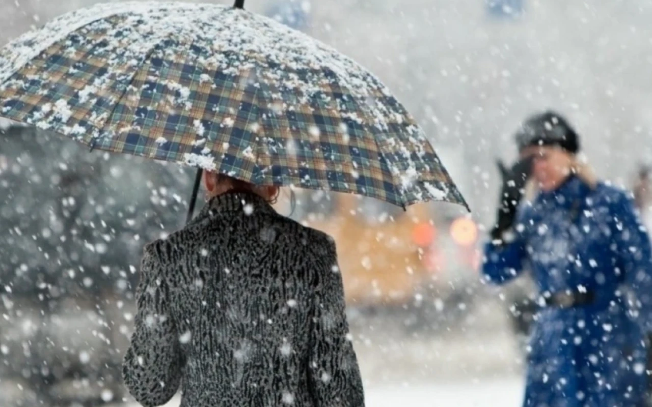 1770044030.pua3kQcAIZJrC1pQ08pmIzELRY9vrL7uWkEMxzRb_825