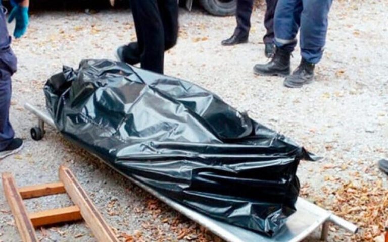 1770442284.meyit-4-740x403