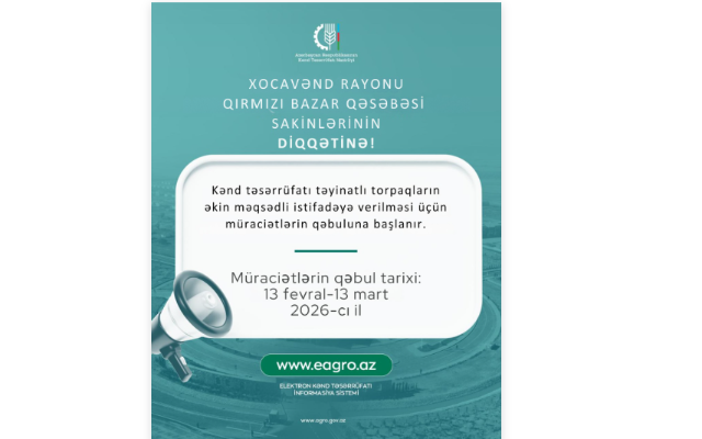 1770990242_Screenshot 2026-02-13 174323