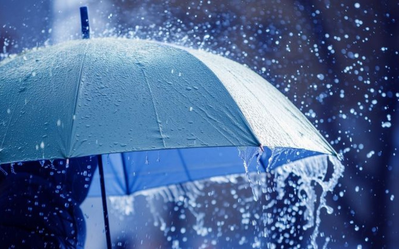 1771088961.photo_118274