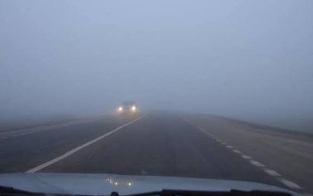 1771159932.images (2)