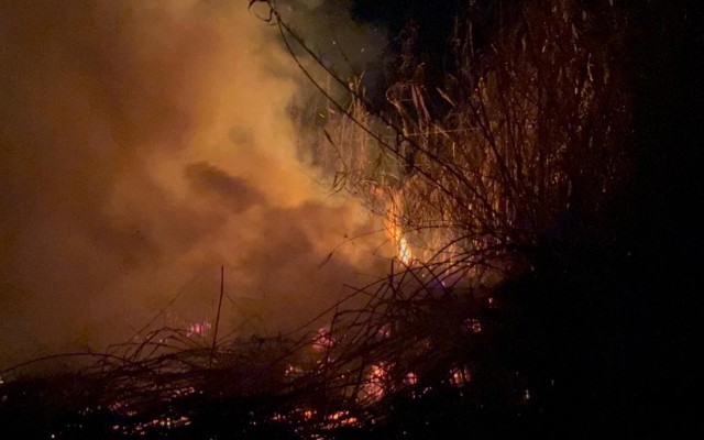 1771441796_17714416232214361367_1200x630