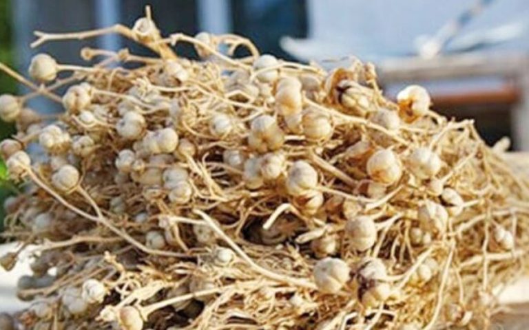 1771496437.uzerlik-1-750x403