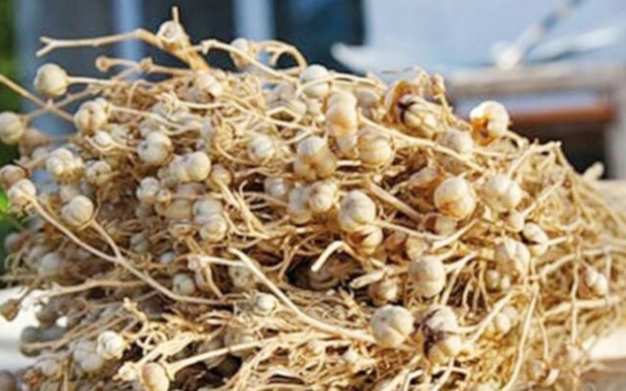 1771496437.uzerlik-1-750x403