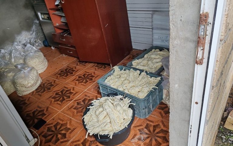 1771587763.WhatsApp Image 2026-02-20 at 15.39.31