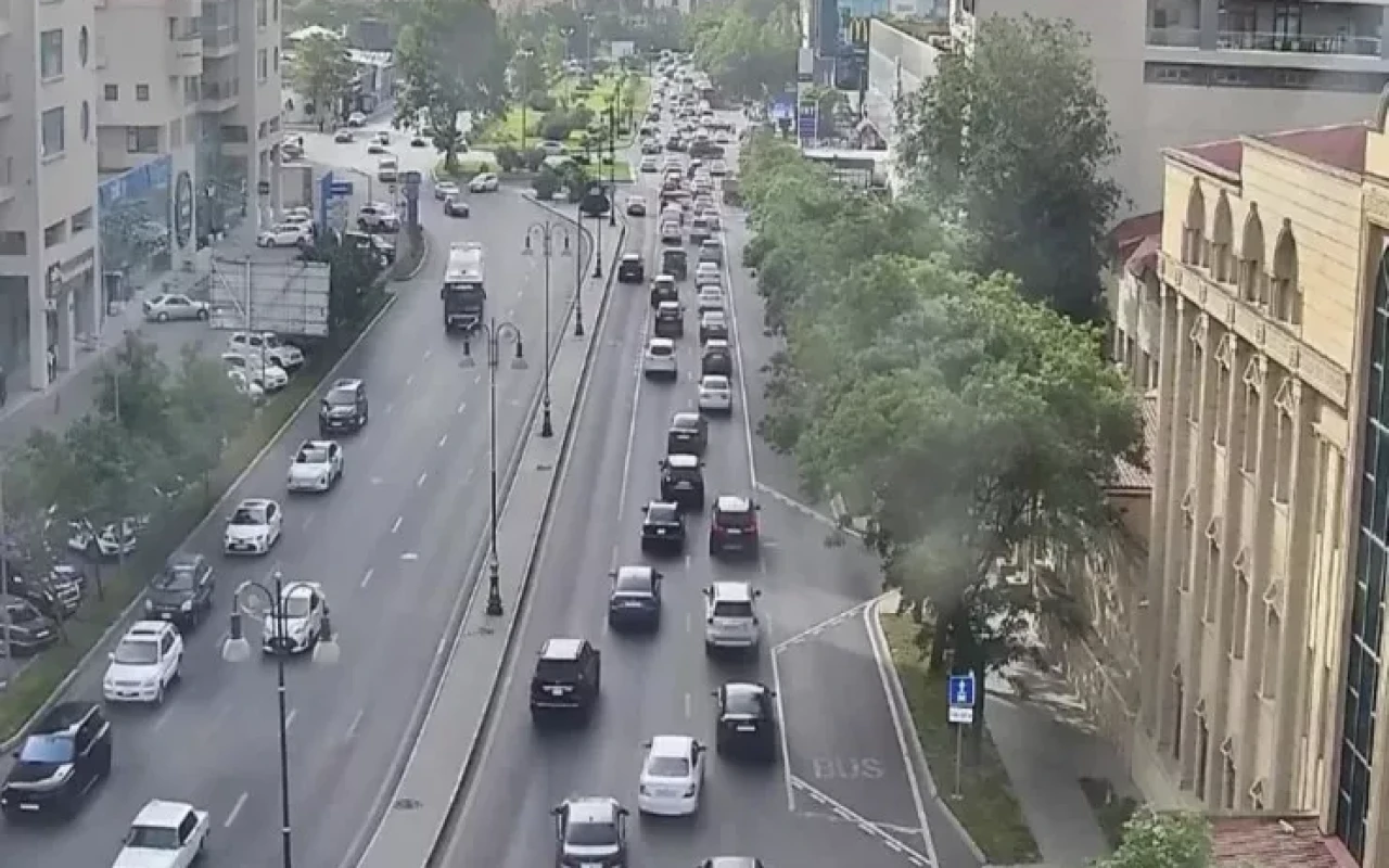 1771603148.699882cd5b9c3699882cd5b9c41771602637699882cd5b9bf699882cd5b9c1